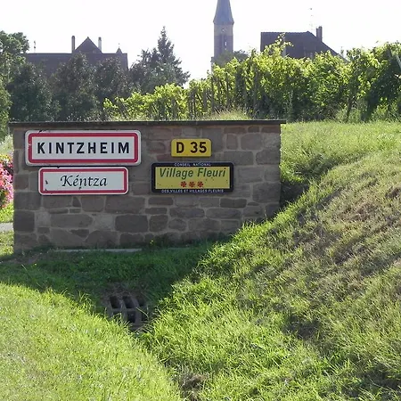 Holiday home Le Nid De Cigognes Kintzheim